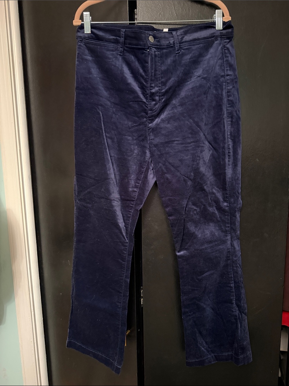 LOFT Navy Blue Velvet Ankle Pants